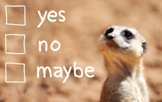 A ere cat looking at a checklist