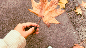 An image of a hand holding a leaf from the autumn tree reminding her to let go of things that no longer serves her.