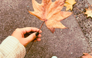 An image of a hand holding a leaf from the autumn tree reminding her to let go of things that no longer serves her.